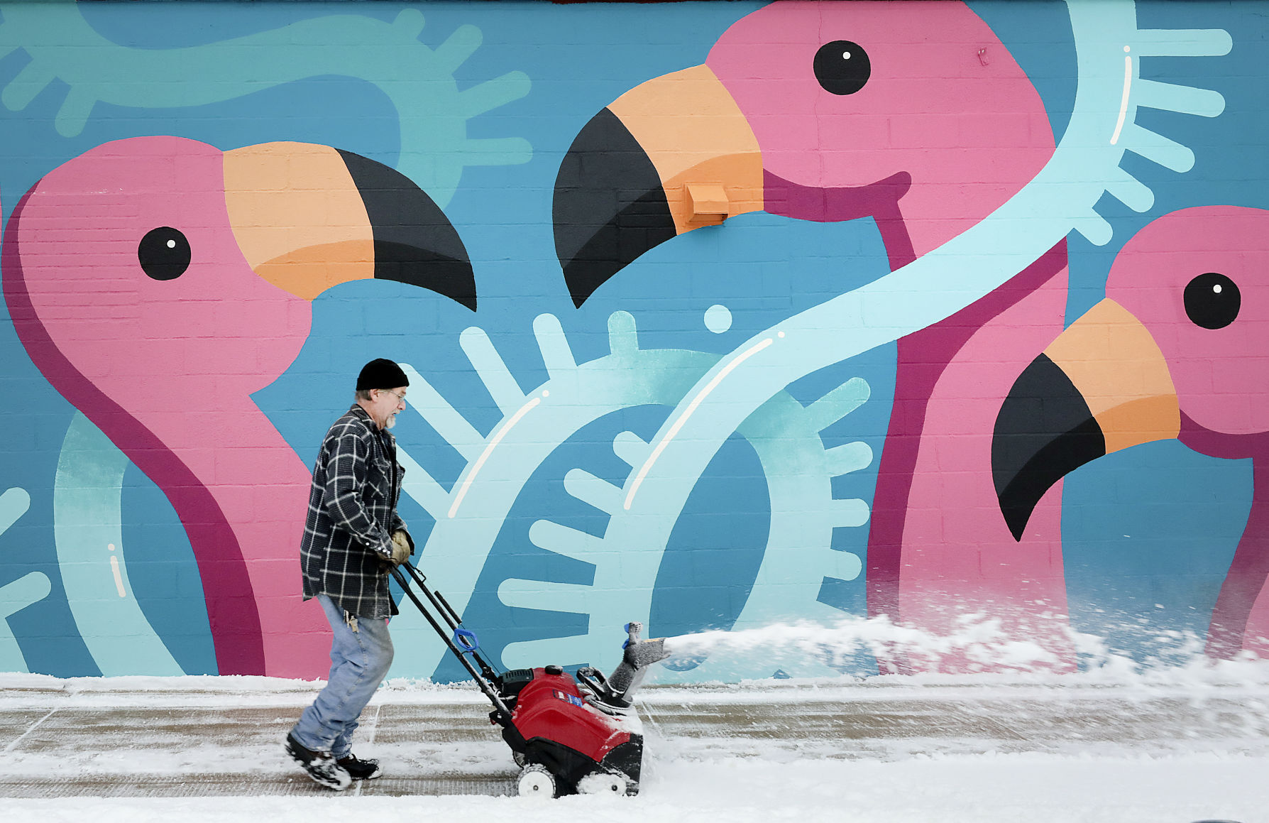SNOW BIRDS (copy)